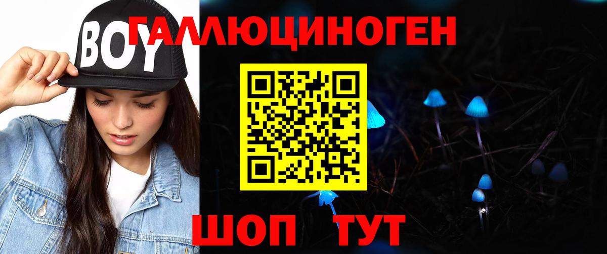 Галлюциногенные грибы мухоморы Гусиноозёрск
