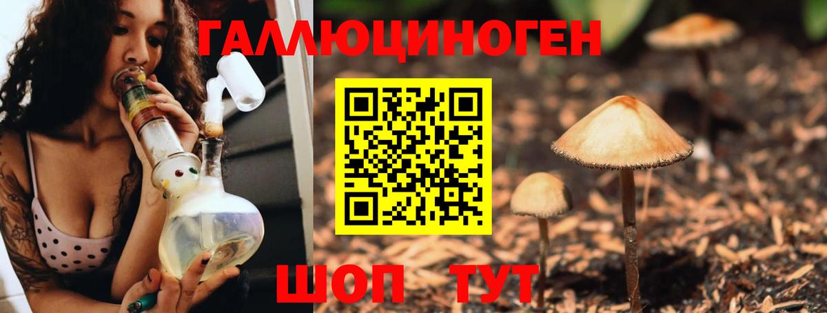 Гусиноозёрск  Псилоцибиновые грибы Psilocybine cubensis  Вход с VPN 